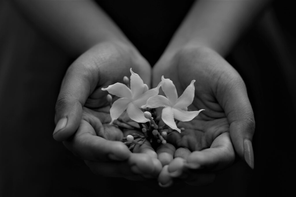 Black and white image of hands gently holding two white flowers, symbolizing care and nature.